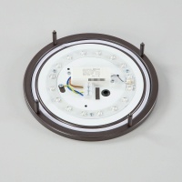 Накладной светильник Citilux CL709205N