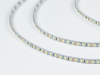 SWG Standard Светодиодная лента 3528, 120 LED/м, 9,6 Вт/м, 12В , IP20, Цвет: Холодный белый, SWG3120-12-9.6-W-M