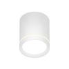 Накладной светильник Denkirs DK4016-WH
