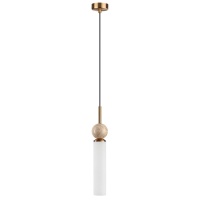 Подвесной светильник Odeon Light 6625/1