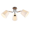 Люстра на штанге Ambrella Light TR4731