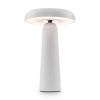 Аккумуляторный светильник Freya FR6109TL-L4W