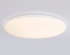 Накладной светильник Ambrella Light FZ2003