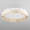 Накладной светильник Citilux CL753352G