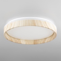 Накладной светильник Citilux CL753352G