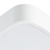 Накладной светильник ARTE Lamp A2663PL-1WH
