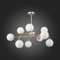 Evoluce SLE106203-09