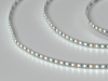 SWG Standard Светодиодная лента 2835, 120 LED/м, 9,6 Вт/м, 12В , IP20, 3M, Цвет: Холодный белый, SWG2120-12-9.6-W-M
