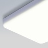 Накладной светильник Elektrostandard DLS043 10W 4200K