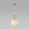 Подвесной светильник Odeon Light 5403/1
