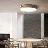 Накладной светильник ImperiumLoft 195542-26