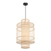 Подвесная люстра ST-Luce SL6241.523.01