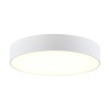 Накладной светильник Citilux CL712240N