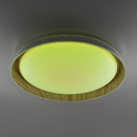 Накладной светильник Citilux CL752452G