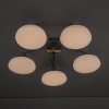 Накладная люстра Citilux CL716251Wz