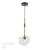 Подвесной светильник Odeon Light 4789/1