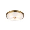 Накладной светильник Odeon Light 4956/4