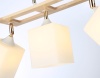 Накладной светильник Ambrella Light TR9505