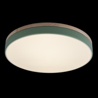 Детский светильник LOFT IT 10001/36 Green