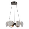 Подвесная люстра ST-Luce SL6018.203.48