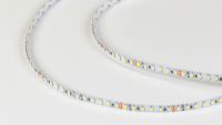 SWG Standard Светодиодная лента  3528, 120 LED/м, 9,6 Вт/м, 24В , IP20, Цвет: Холодный белый, SWG3120-24-9.6-W-M