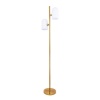 Торшер ARTE Lamp A5454PN-2PB