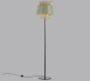 Торшер Odeon Light 4992/1FA