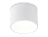 Накладной светильник Ambrella Light TN52881