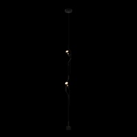 Потолочный детский светильник LOFT IT 10346/2 Black