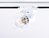 Ambrella Light GL5001