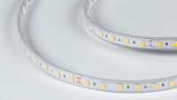 DesignLed Светодиодная лента LUX, 5050, 60 LED/м, 14,4 Вт/м, 24В, IP65, Нейтральный белый (4000K), DSG560-24-NW-65
