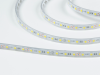 SWG Standard Светодиодная лента 5050, 60 LED/м, 14,4 Вт/м, 12В , IP66, Цвет: Холодный белый, SWG560-12-14.4-W-66-M