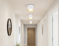 Накладной светильник Ambrella Light TN52882