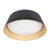 Накладной светильник LOFT IT 10224 Black