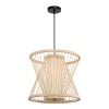 Подвесная люстра ST-Luce SL6241.503.01