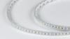 SWG Standard Светодиодная лента 3528, 120 LED/м, 9,6 Вт/м, 12В , IP66, Цвет: Холодный белый, SWG3120-12-9.6-W-66-M
