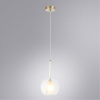 Подвесной светильник ARTE Lamp A2720SP-1SG