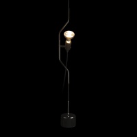 Потолочный детский светильник LOFT IT 10346/1 Black