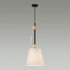 Подвесной светильник Odeon Light 5410/1