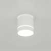 Накладной светильник Citilux CL745020N