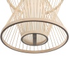 Подвесная люстра ST-Luce SL6241.503.01