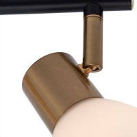 Спот ARTE Lamp A3117PL-2BK