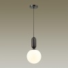 Подвесной светильник Odeon Light 4668/1
