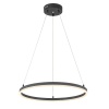 Подвесной светильник Escada 10254/1LED Black APP