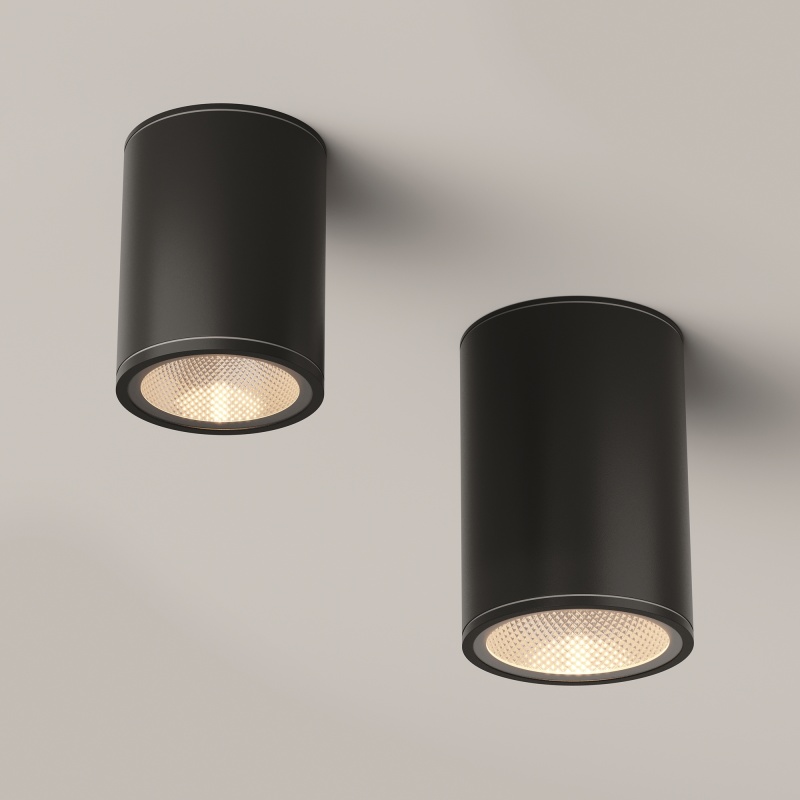 Потолочный светильник Outdoor O306CL-L12GF