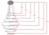 Каскадная люстра Kink Light 08537,01(4000K)