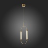 Подвесная люстра ST-Luce SL6004.303.02