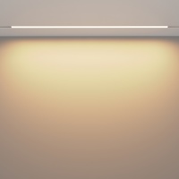 Трековый светильник Technical TR030-2-30W3K-W