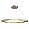 Подвесной светильник ST-Luce SL6238.343.01