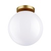 Накладной светильник Odeon Light 4248/1C